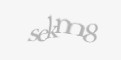 Säkerhetskod