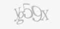 Säkerhetskod