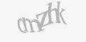 Säkerhetskod