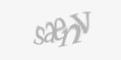 Säkerhetskod