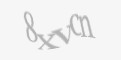 Säkerhetskod