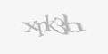 Säkerhetskod