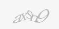 Säkerhetskod