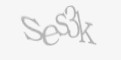 Säkerhetskod