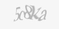 Säkerhetskod