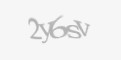 Säkerhetskod
