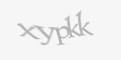 Säkerhetskod