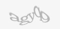 Säkerhetskod
