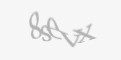 Säkerhetskod