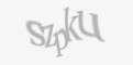 Säkerhetskod