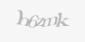 Säkerhetskod
