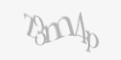 Säkerhetskod