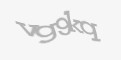 Säkerhetskod