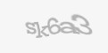 Säkerhetskod