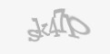Säkerhetskod