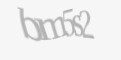 Säkerhetskod