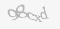 Säkerhetskod