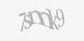 Säkerhetskod