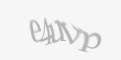 Säkerhetskod