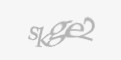 Säkerhetskod