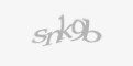 Säkerhetskod