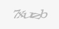 Säkerhetskod