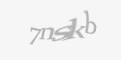 Säkerhetskod