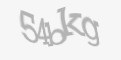 Säkerhetskod