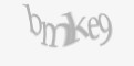 Säkerhetskod