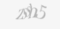 Säkerhetskod
