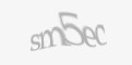 Säkerhetskod