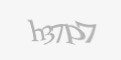 Säkerhetskod