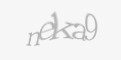 Säkerhetskod