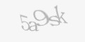Säkerhetskod