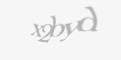 Säkerhetskod