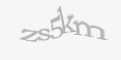 Säkerhetskod
