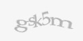 Säkerhetskod