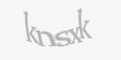 Säkerhetskod