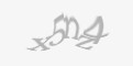 Säkerhetskod