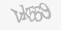 Säkerhetskod