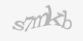Säkerhetskod