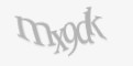 Säkerhetskod