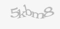 Säkerhetskod
