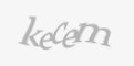 Säkerhetskod