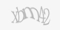 Säkerhetskod