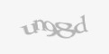 Säkerhetskod