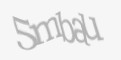 Säkerhetskod