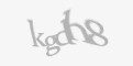 Säkerhetskod
