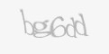 Säkerhetskod