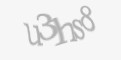 Säkerhetskod